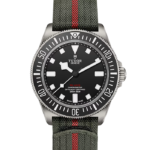 TUDOR Pelagos Pelagos FXD M25717N-0001 in Ravensburg