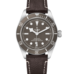 Tudor Black Bay Black Bay Fifty-Eight 925 M79010SG-0001 in Ravensburg