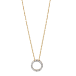 schmuckwerk Alpen Alpen Halsschmuck GH115-RG bei Juwelier Bartels in Ravensburg